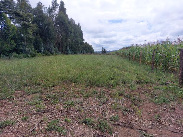 Prime 50x100 Plots - thumbnail 3