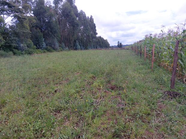 Prime 50x100 Plots - thumbnail 4