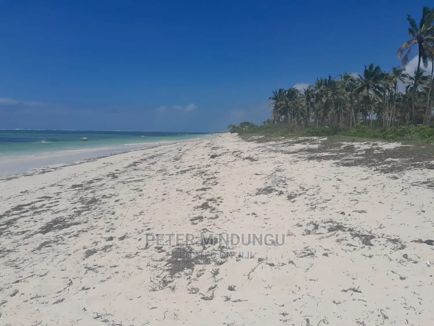Prime Beach Land on Sale, North Coast