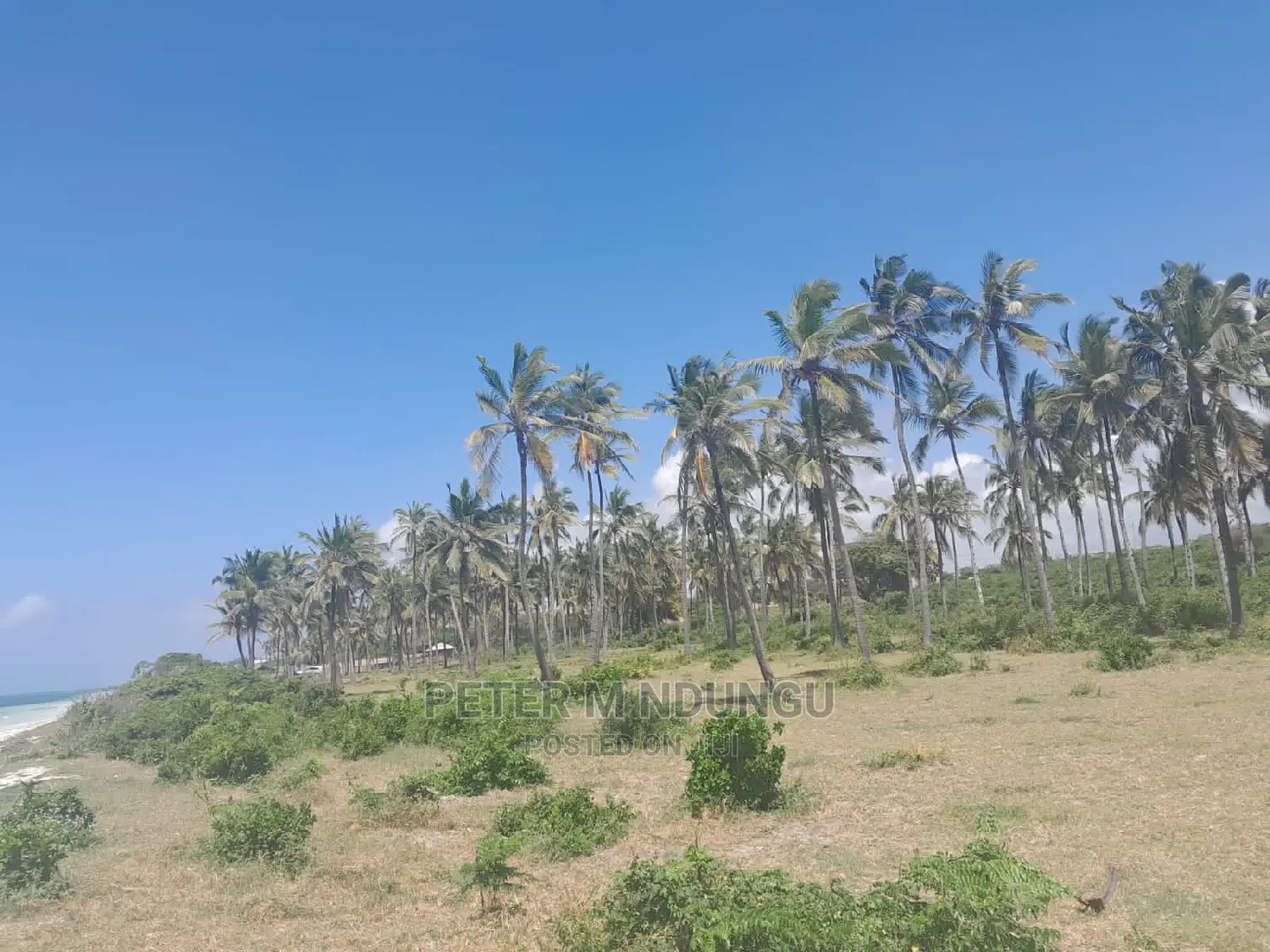 Prime Beach Land on Sale, North Coast