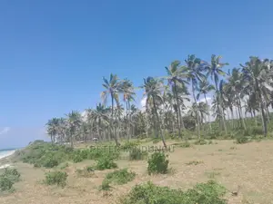 Prime Beach Land on Sale, North Coast