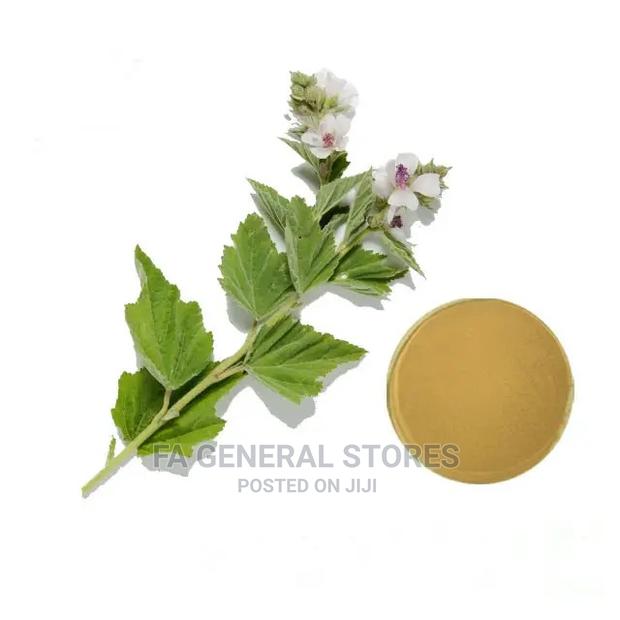 Marshmallow Extract - main view