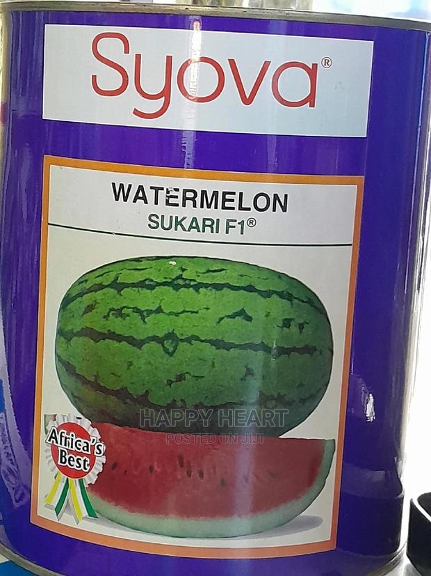 Sukari F1 Hybrid Watermelon 1kg - main view