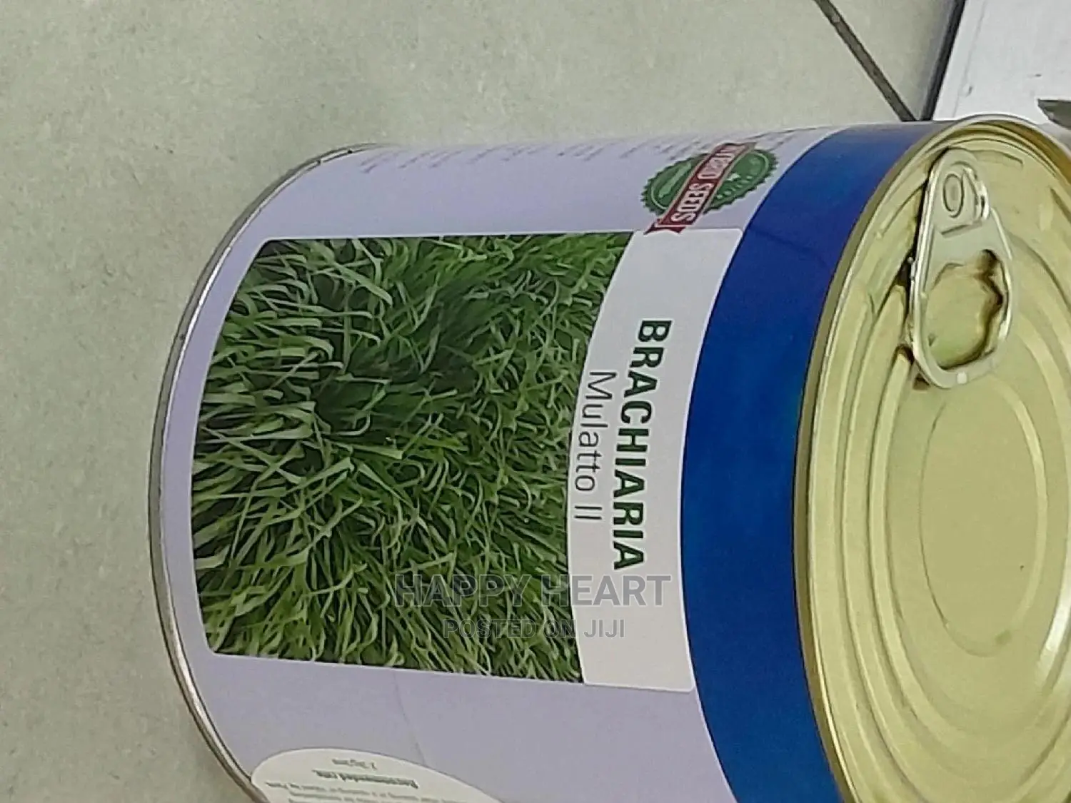 Bracharia Mullato Grass 1kg