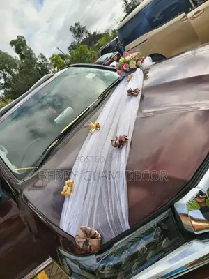 Wedding Cars Decor