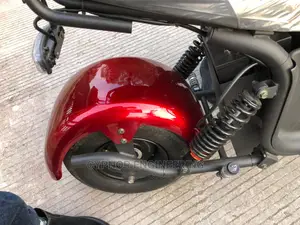1500W Electric Scooter