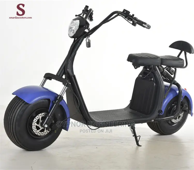 Rechargable Electric Scooter