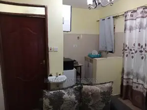 Spectacular One Bedroom Airbnb TRM Drive Roysambu Thika Road