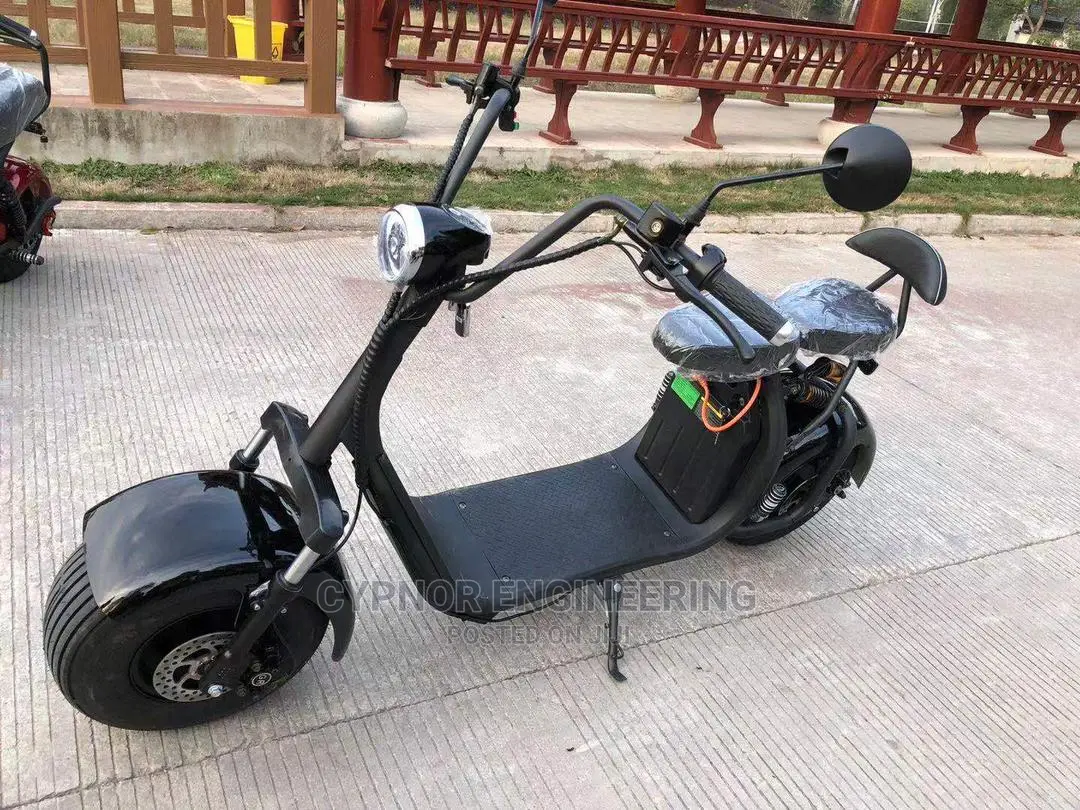 Electric Scooter With 65km Range
