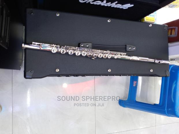 Professional Flute - main view