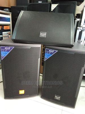 Monitor Speaker Ally 15" and 2 Midrange Speakers 1000 Watts - thumbnail 2