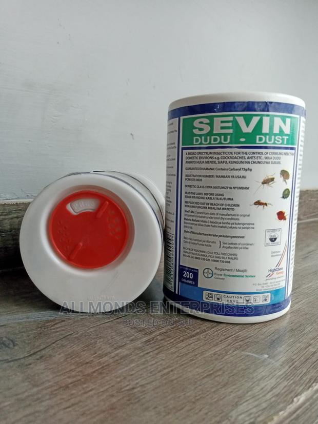 Sevin Dudu - Dust - main view