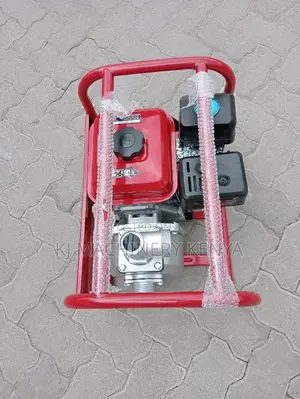 Windsor Normal Pressure Water Pump.