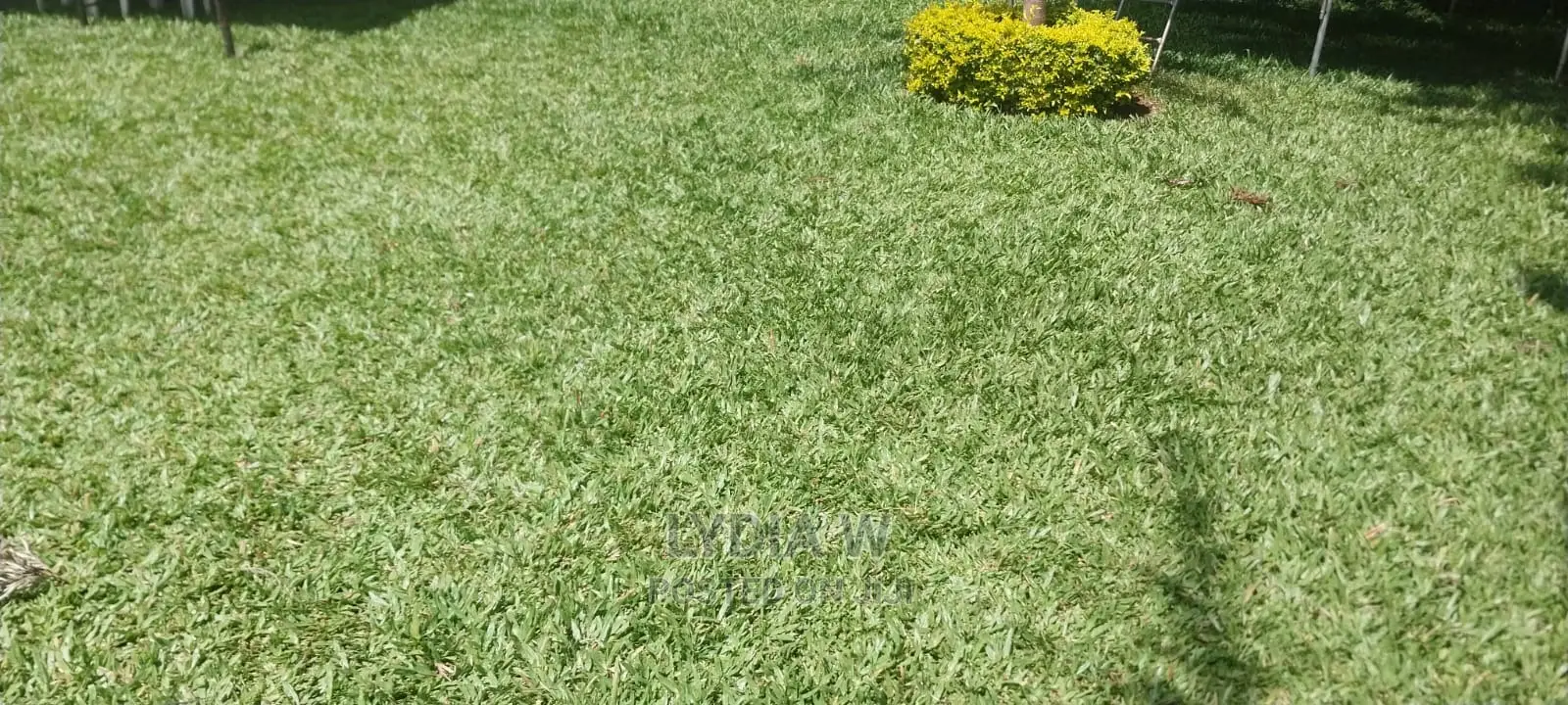 Landscaping and Gardening Services