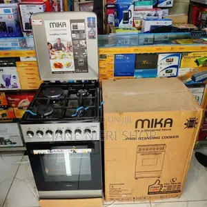 Silver Mika 3+1 Standing Cooker