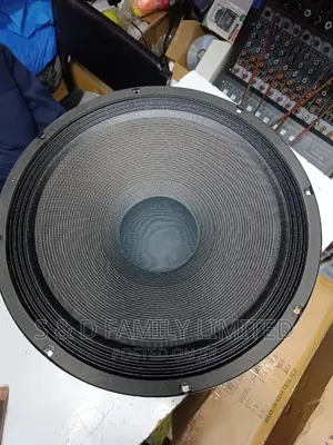 5 Core 15 Inch Naked Speaker 15120