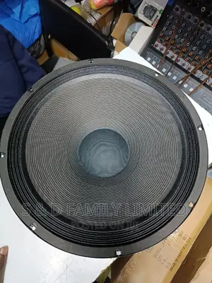 5 Core 15 Inch Naked Speaker 15120