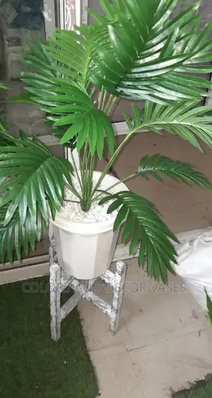 Palm Tree, Plastic Vase With Pebble Stones and Wooden Stand