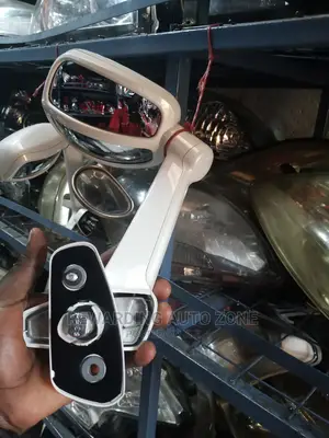 Prado 120 Wing Mirror