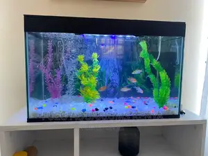 Complete Aquarium 2ft Length