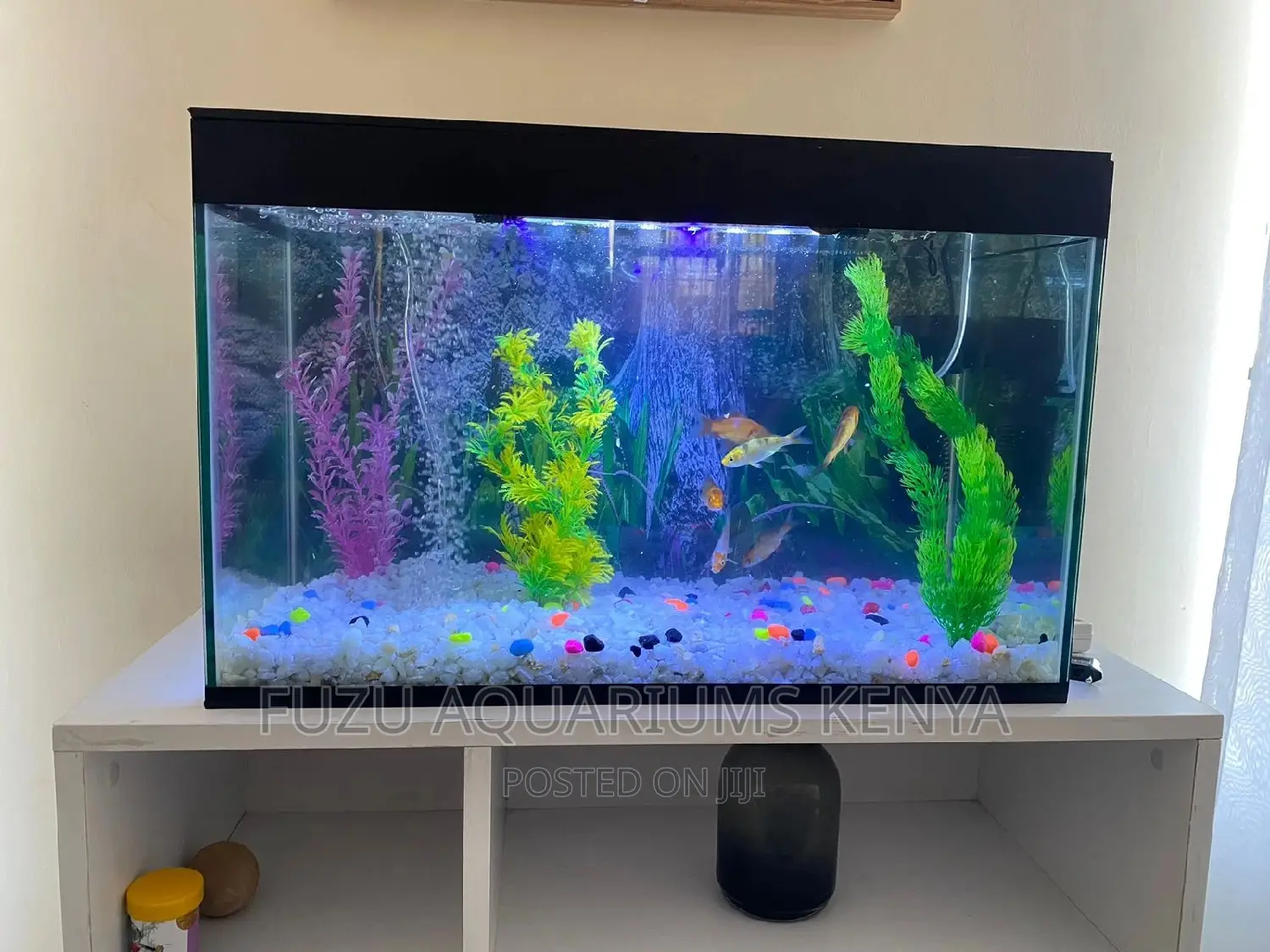 Complete Aquarium 2 Feet Length