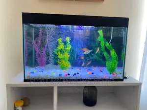 Complete Aquarium 2 Feet Length