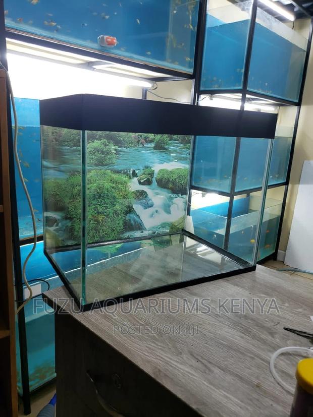 Full Aquarium 2ft - main view