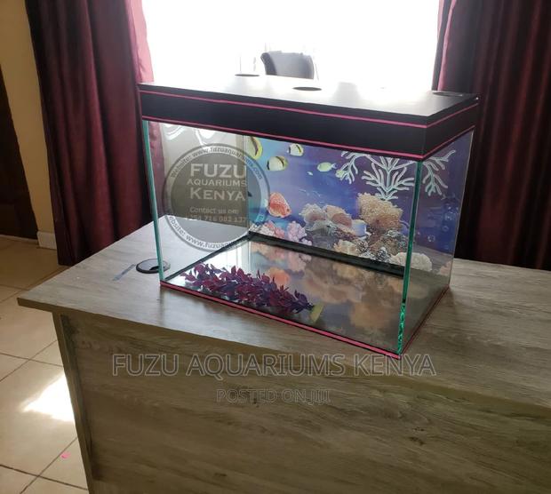 2ft Aquarium Complete - main view