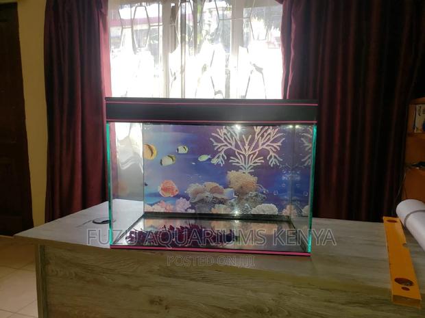 Complete 2 Feet Aquarium