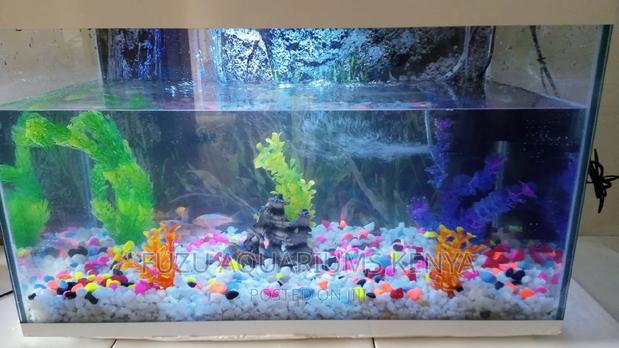 2feet White Aquarium