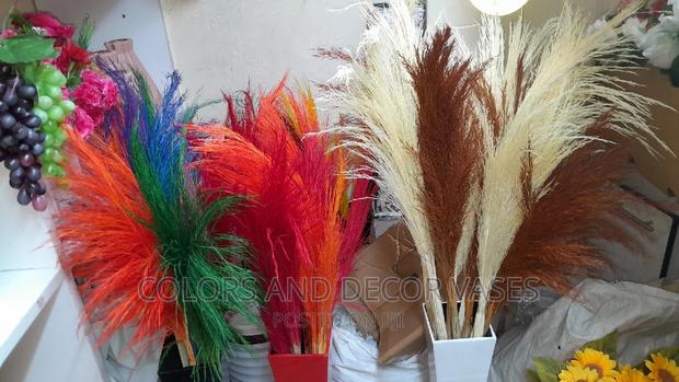 Pampas Grass KSH 150 - main view