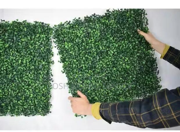 Decorative Hedge [Anels - main view