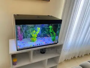 2feet Aquarium Complete Set Up