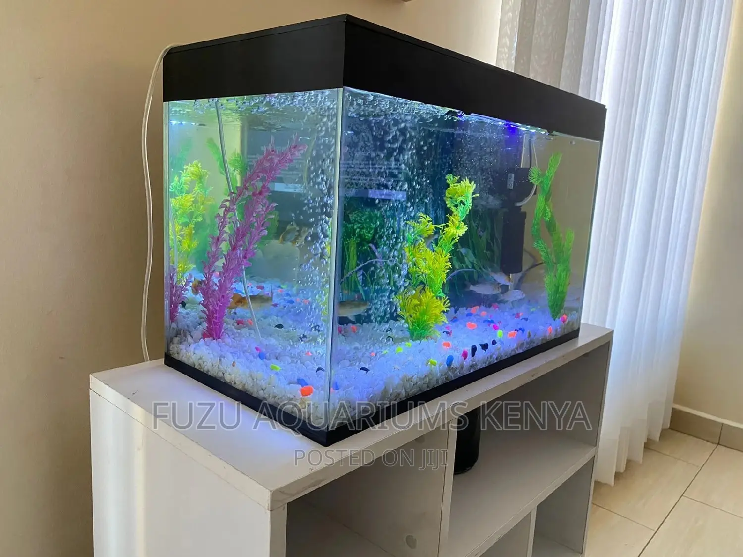 55 Litres Aquarium, 2ft