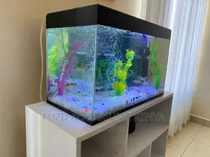 55 Litres Aquarium, 2ft