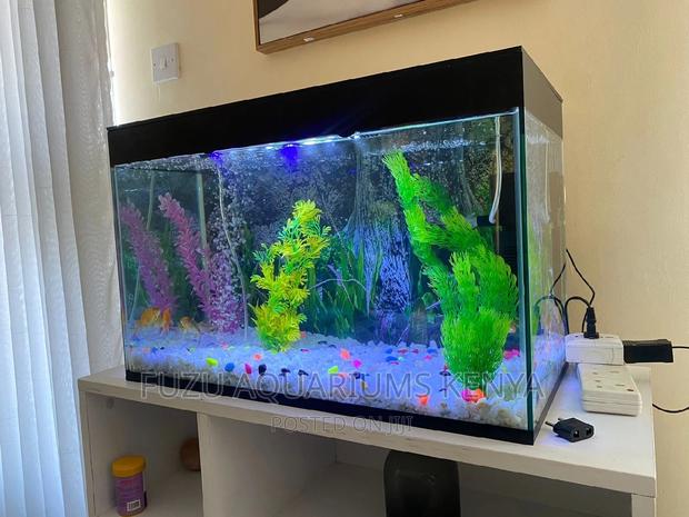 Fully Equipped Aquarium - main view