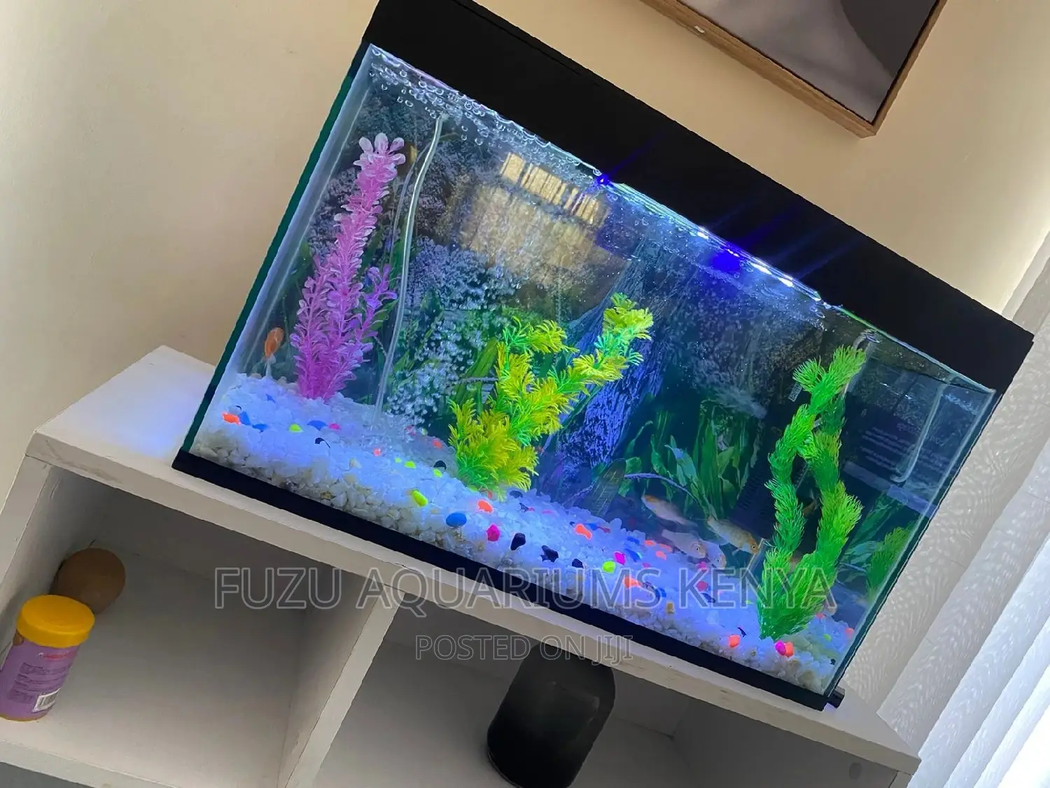 Complete Set Up Aquarium