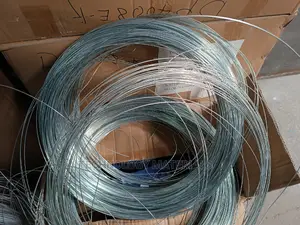 Galvanized Accoustic Wire