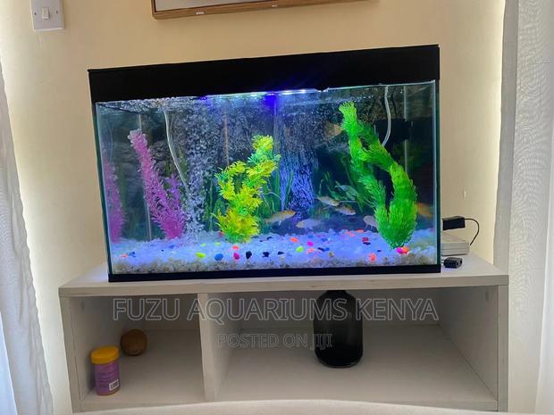 Full Aquarium With Complete Set Up - main view