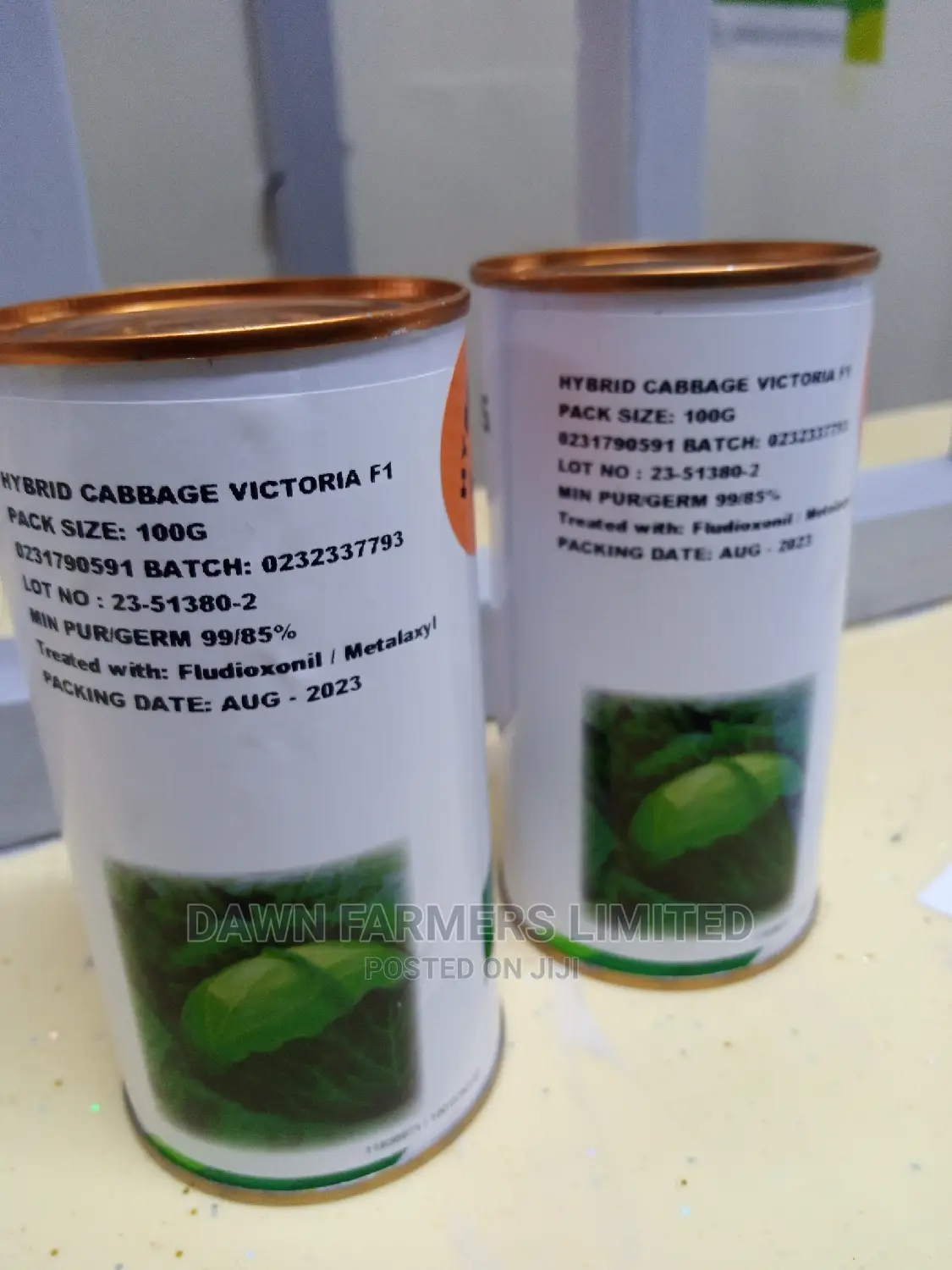 Cabbage Victoria F1 100gms