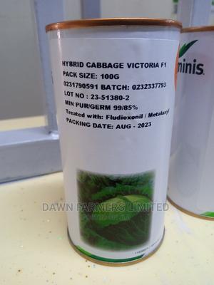 Cabbage Victoria F1 100gms - main view