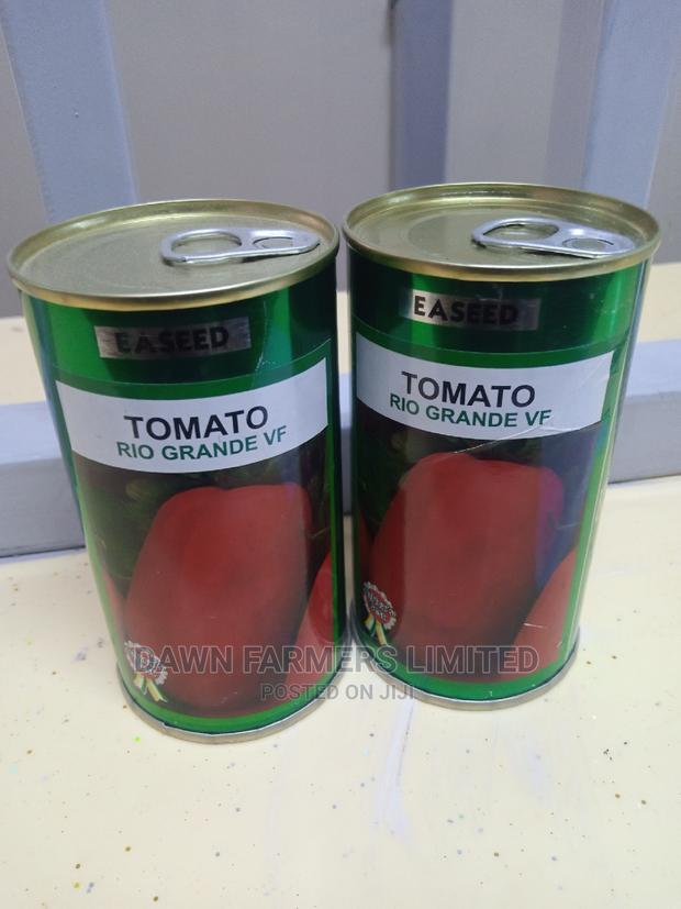 Tomatoes Rio Grande 100gms - thumbnail 2