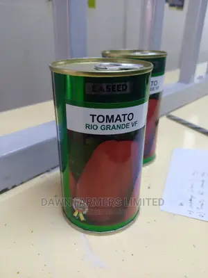 Tomatoes Rio Grande 100gms