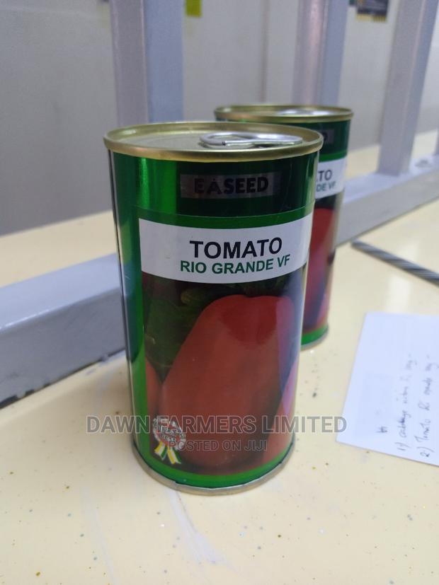 Tomatoes Rio Grande 100gms