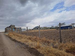 Ploti Malaa,Lipia Polepole , Mw^ - thumbnail 2