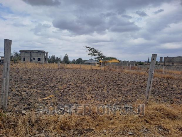 Ploti Malaa,Lipia Polepole , Mw^ - thumbnail 3