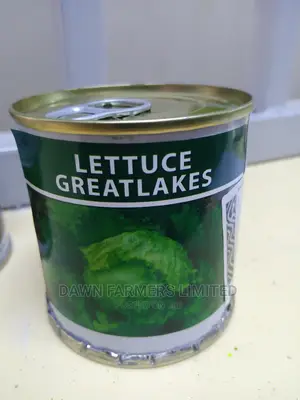 Lettuce Greatlakes 50gms
