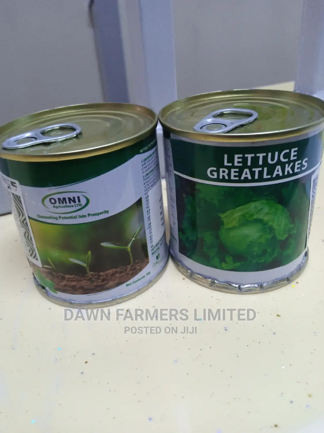 Lettuce Greatlakes 50gms