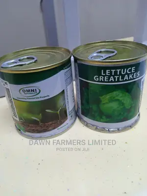 Lettuce Greatlakes 50gms