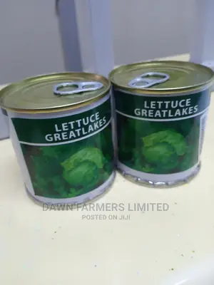 Lettuce Greatlakes 50gms